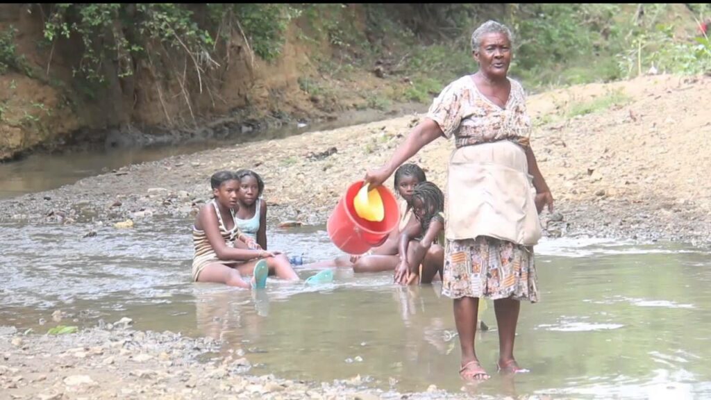 The Palenque Creek: A Stream of Traditions Emanating Identity - AWASQA